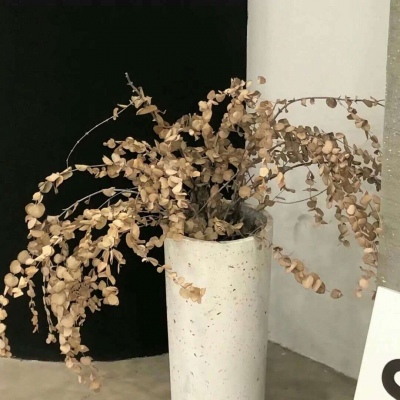 兽设细节刻画技巧兽圈群